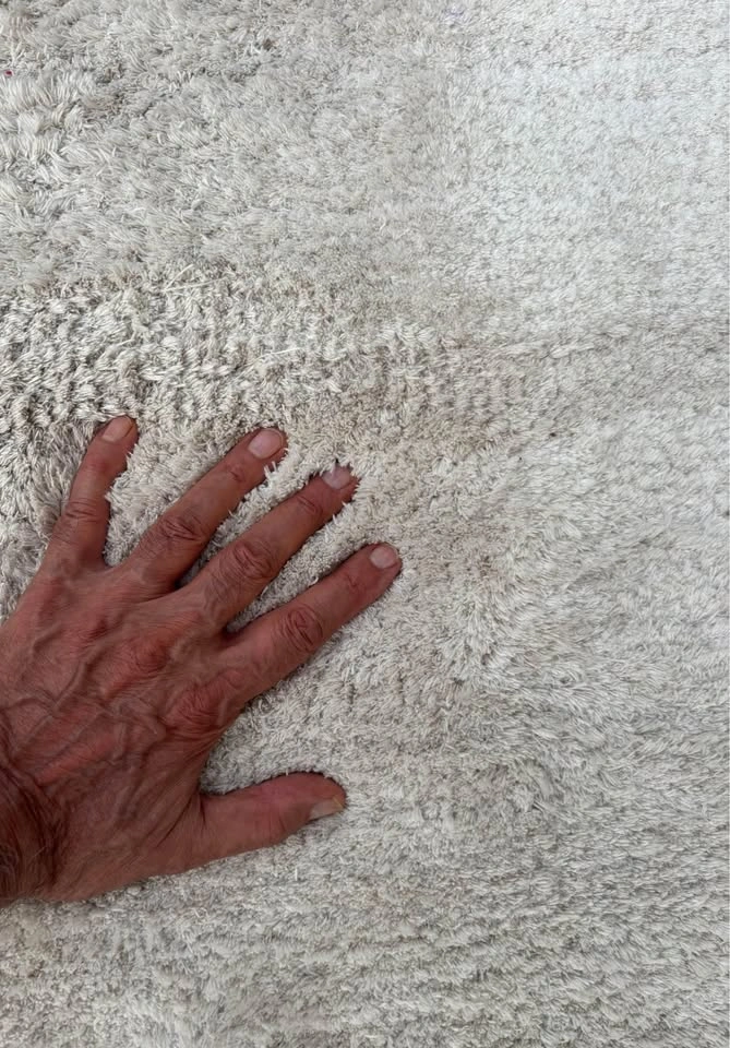 Large Off-White Shag Area Rug (7’ 8” x 10’) - photo 4