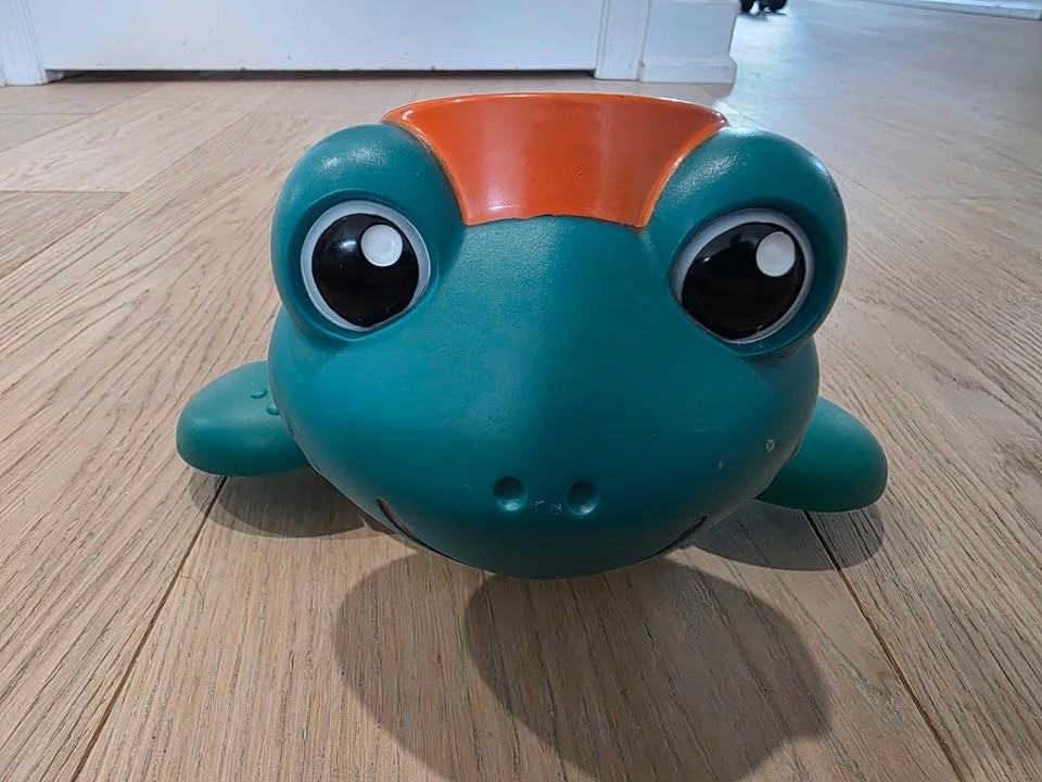 Baby Einstein Musical Turtle - photo 3