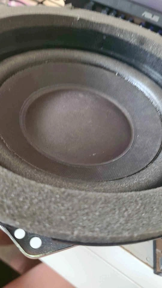 6.5 inch Speaker Woofer