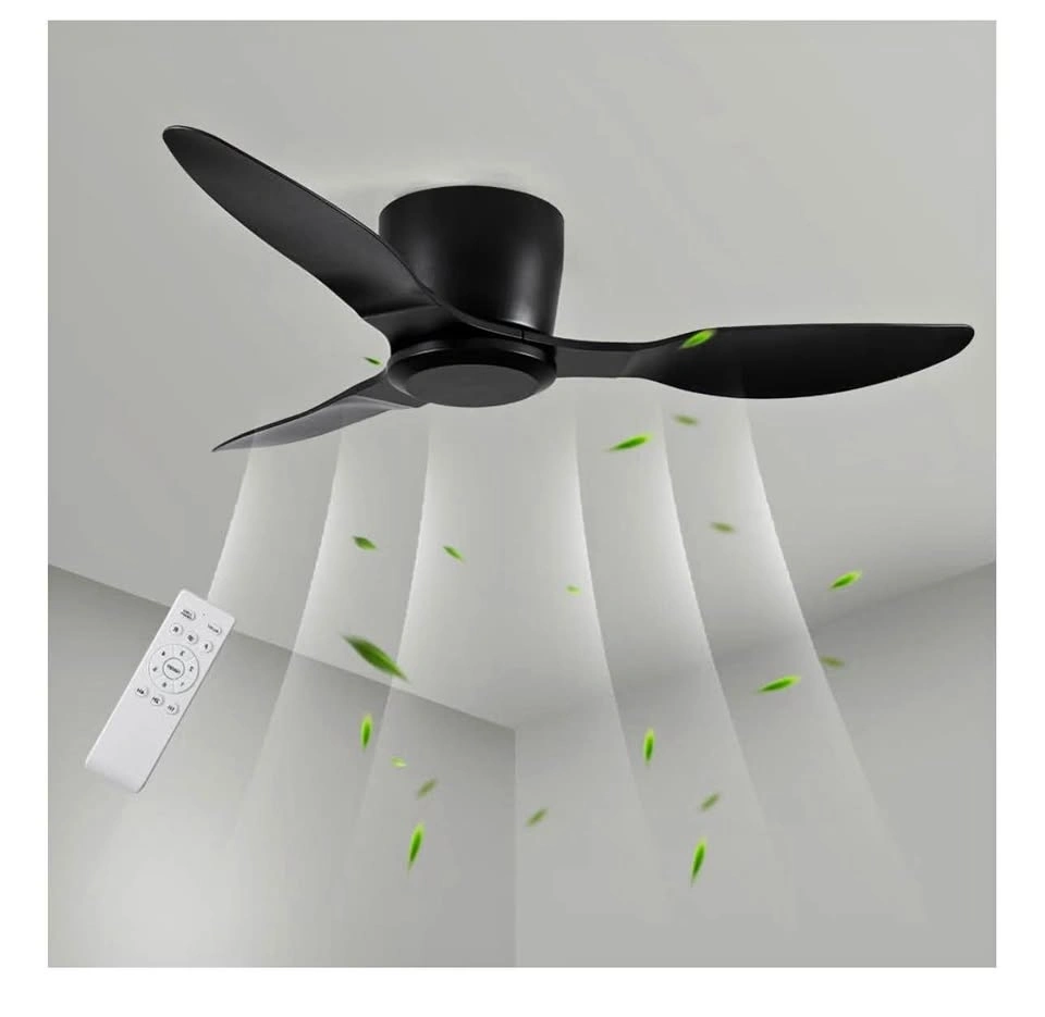 Ceiling Fan