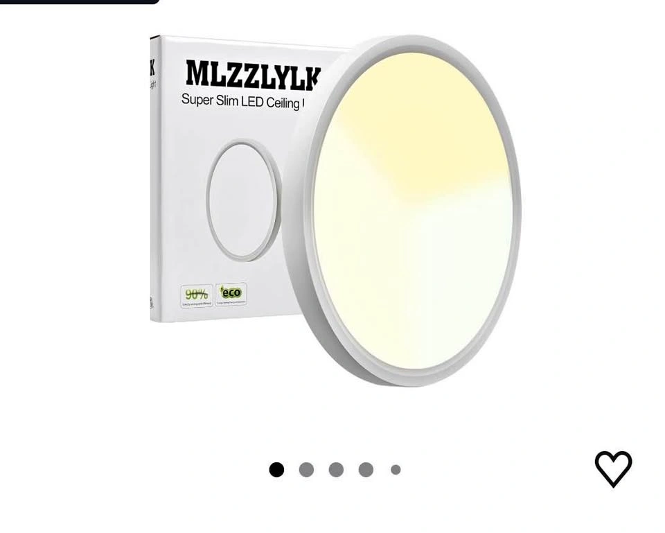 LED Ceiling Light