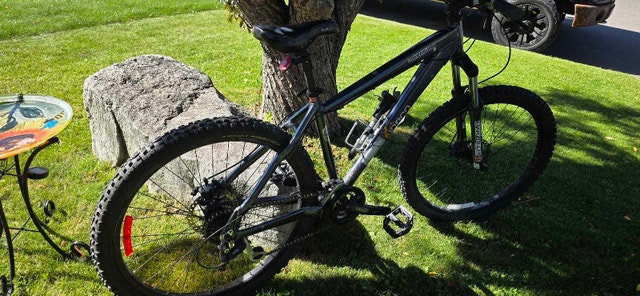 Norco Wolverine - photo 2