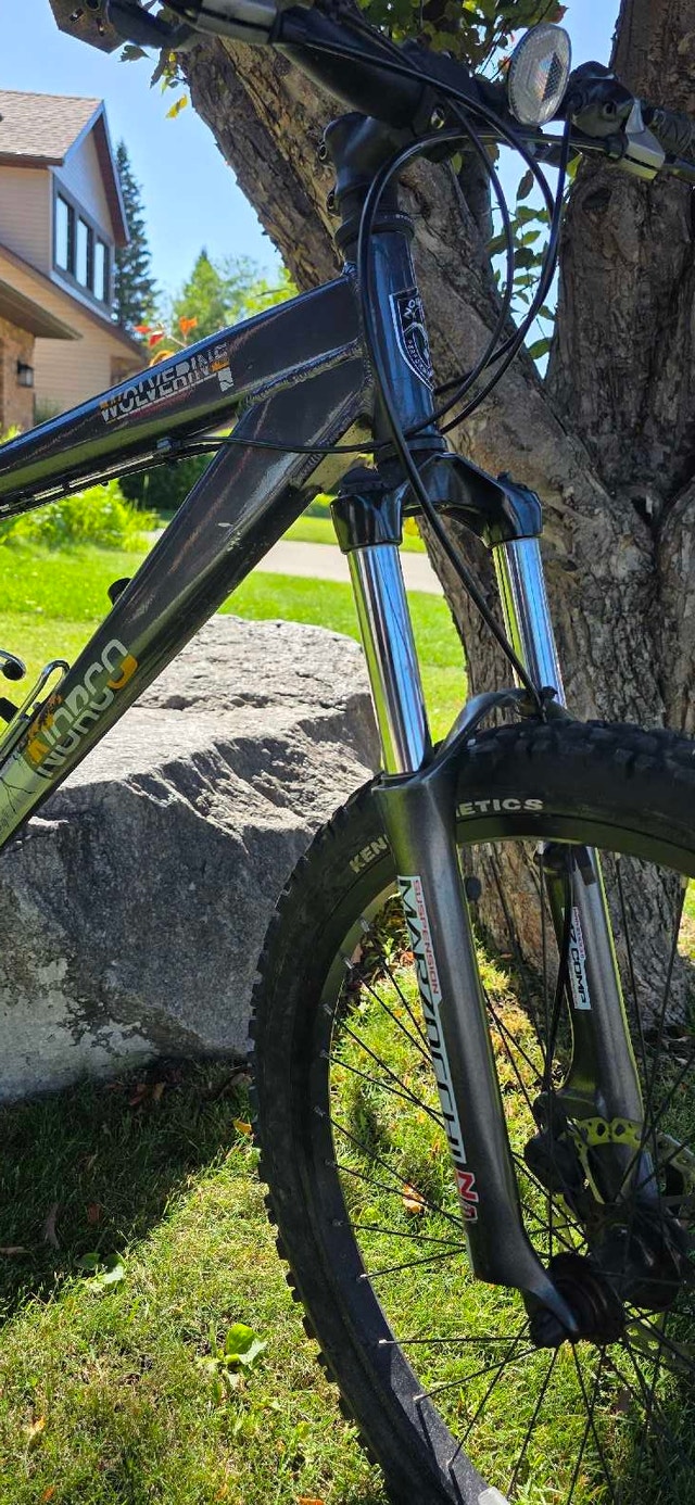 Norco Wolverine - photo 3