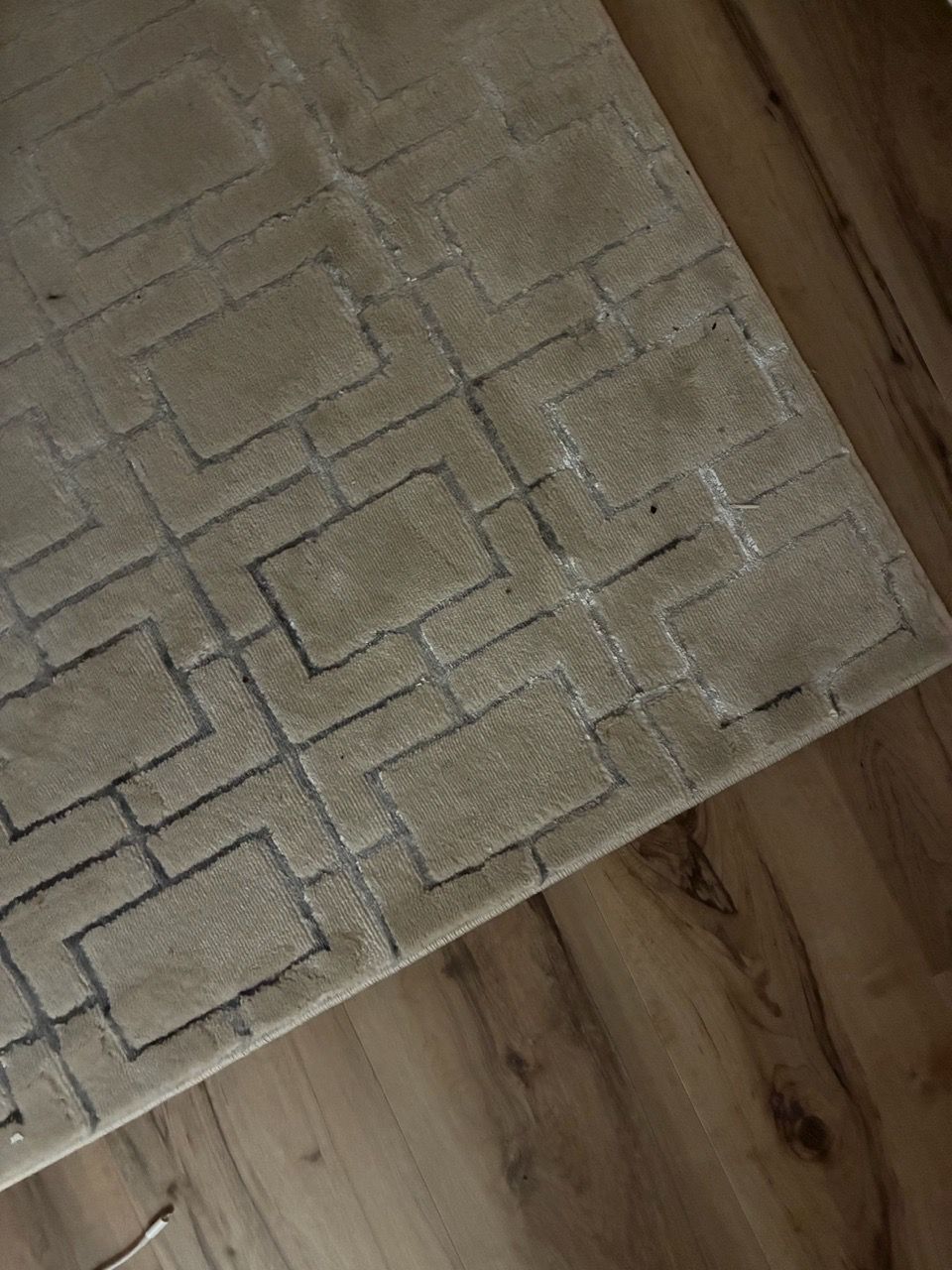 Area Rug — Price Negotiable