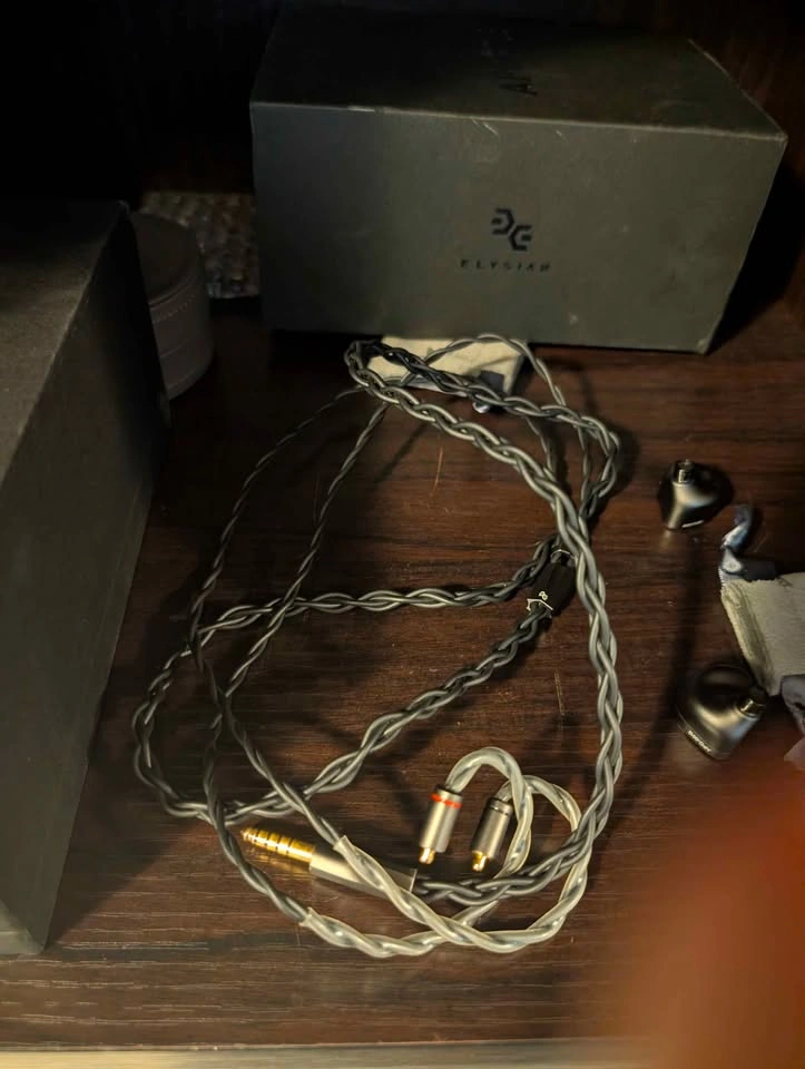 Elysian Apostle 2025 In Ear Monitors - photo 3