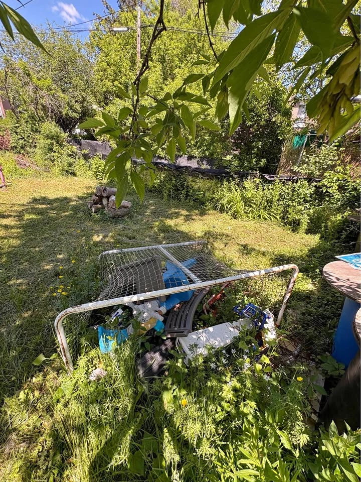 Free yard toys LOT