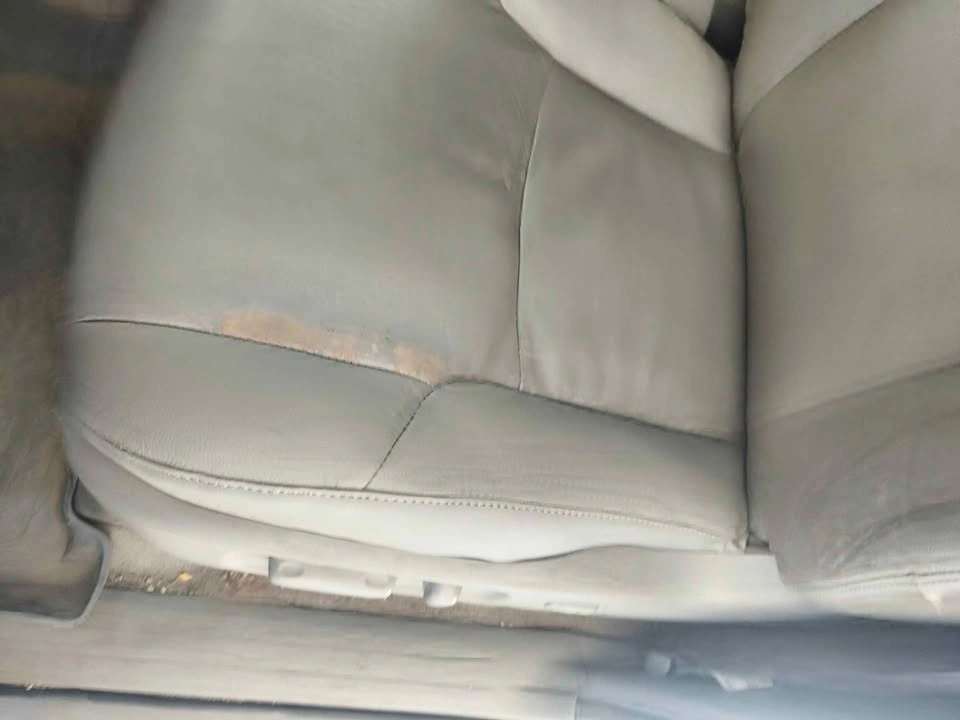 Professional Upholstery Services in Edmonton - photo 4