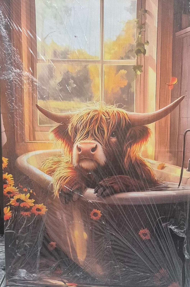 Highland Cow Bathing Canvas Art