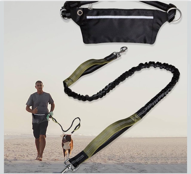 Multifunctional Dog Walking Leash