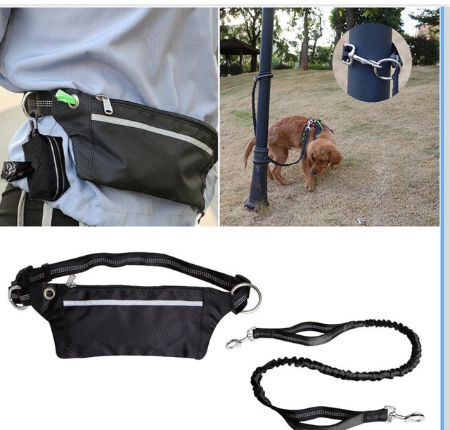 Multifunctional Dog Walking Leash - photo 2