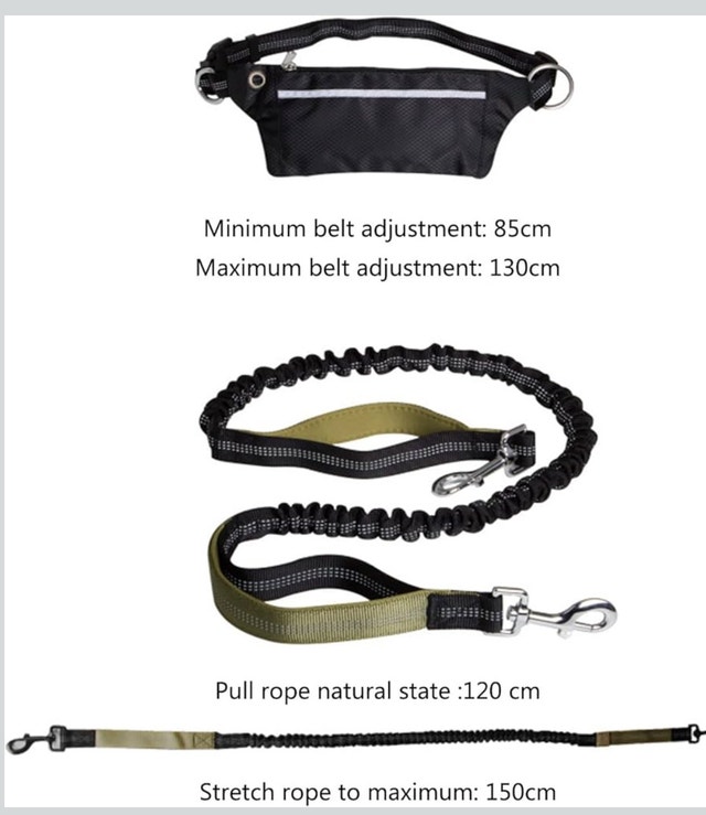Multifunctional Dog Walking Leash - photo 3