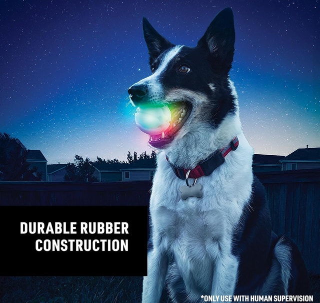 LED Dog Ball