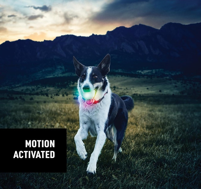 LED Dog Ball - photo 5