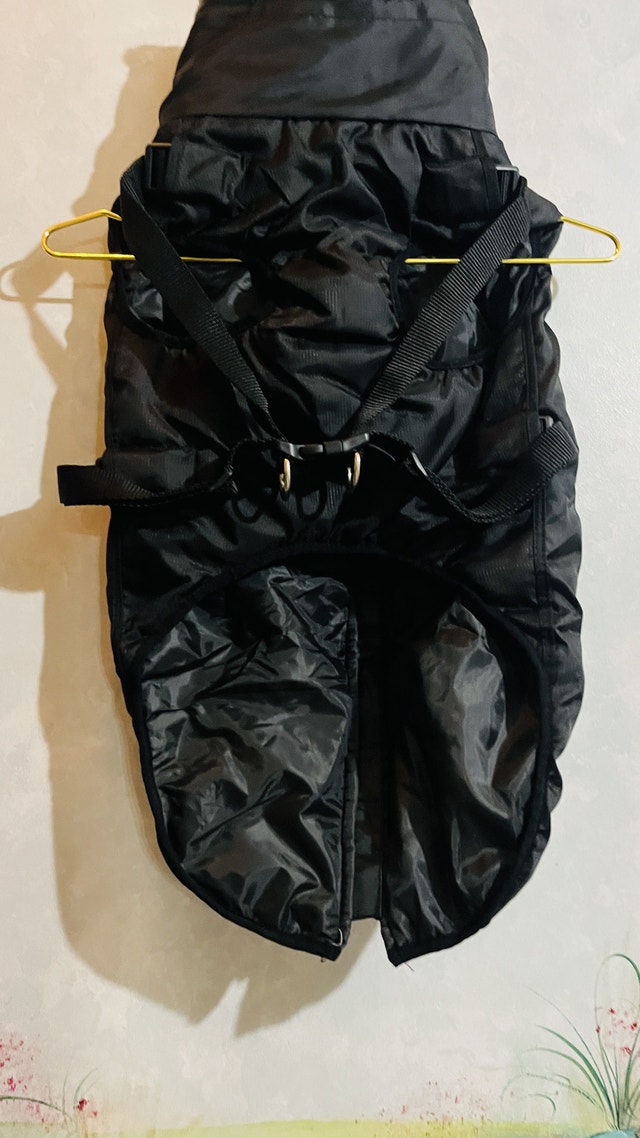Brand new Dog Coat-My world My rules! 4XL - photo 5