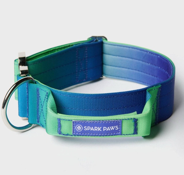 Spark Paws-Comfort Control Dog Collar!