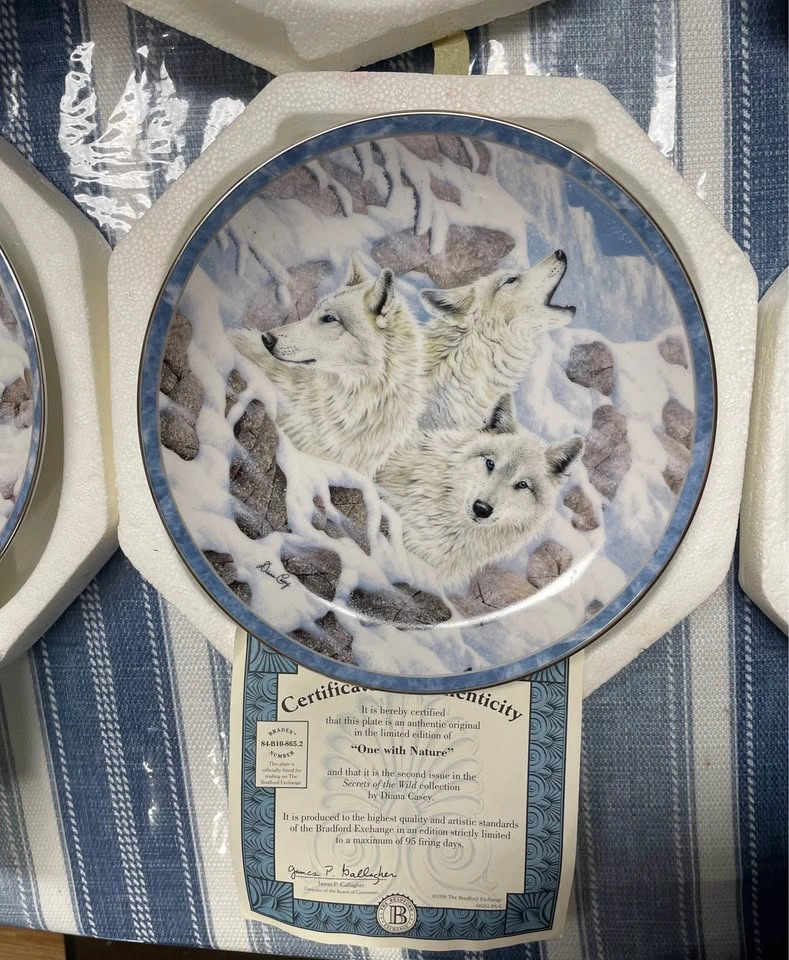 Wolf collectors plates “secrets of the wild” by Diana Casey - photo 3