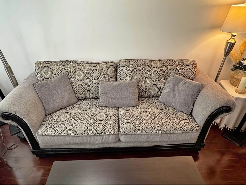 The Brick Sofa Bed & Loveseat Set (Super Clean)