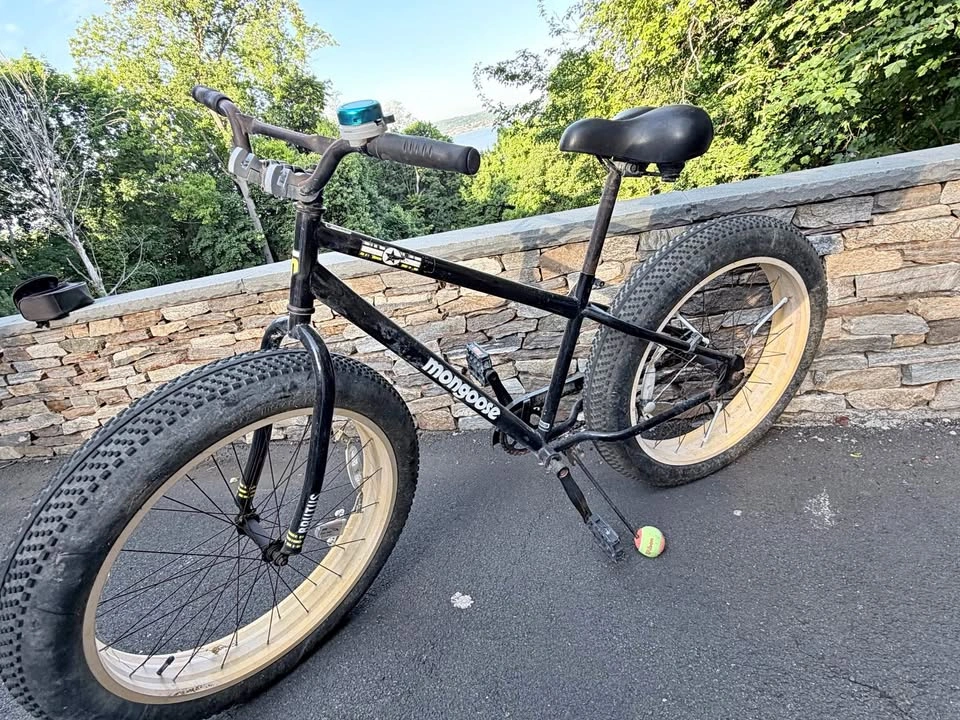 Mongoose Brutus Fat Tire Mountain Bike
