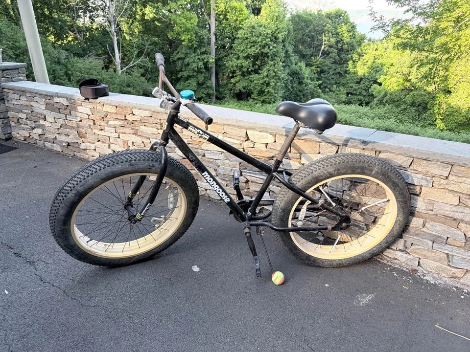 Mongoose Brutus Fat Tire Mountain Bike - photo 2