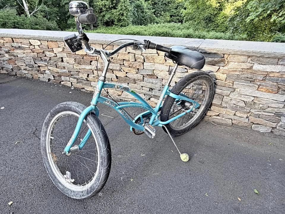 Electra Hawaii Cruiser Bike