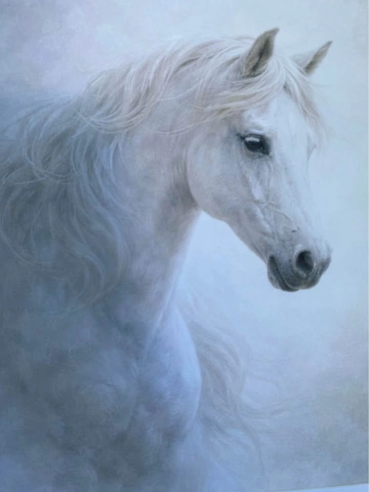 Framed Elegant White Horse Wall Art |  12” x 15” - photo 2