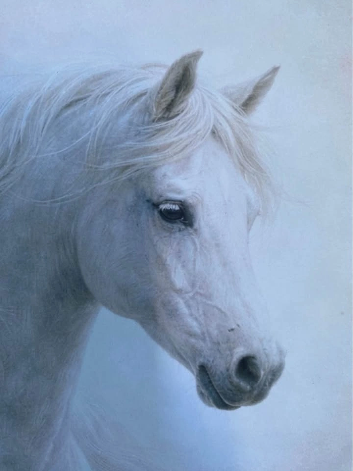 Framed Elegant White Horse Wall Art |  12” x 15” - photo 4