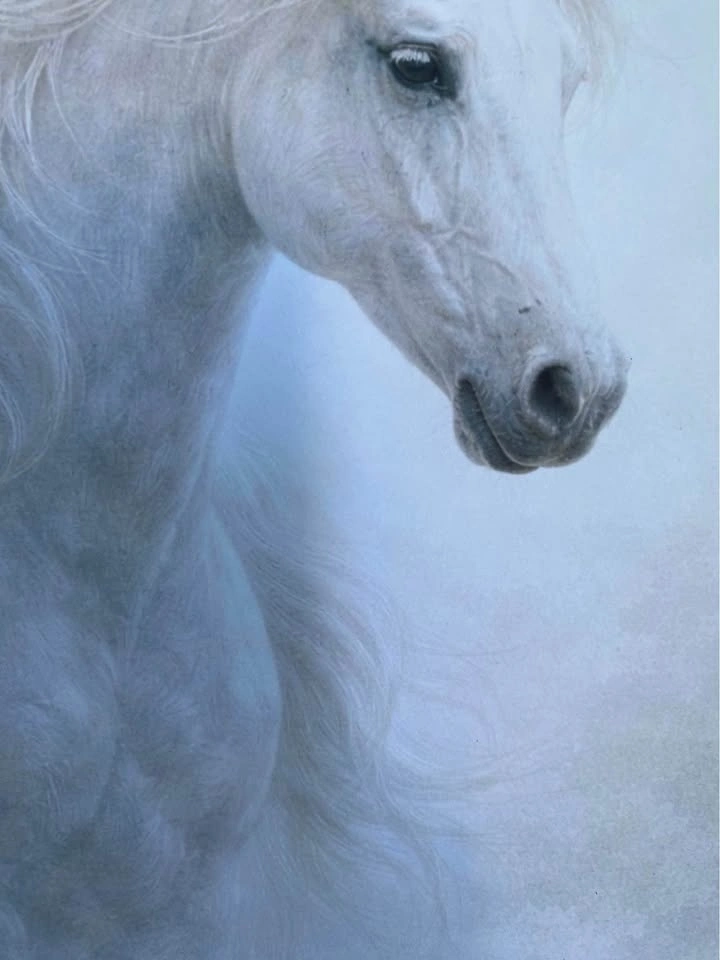 Framed Elegant White Horse Wall Art |  12” x 15” - photo 5