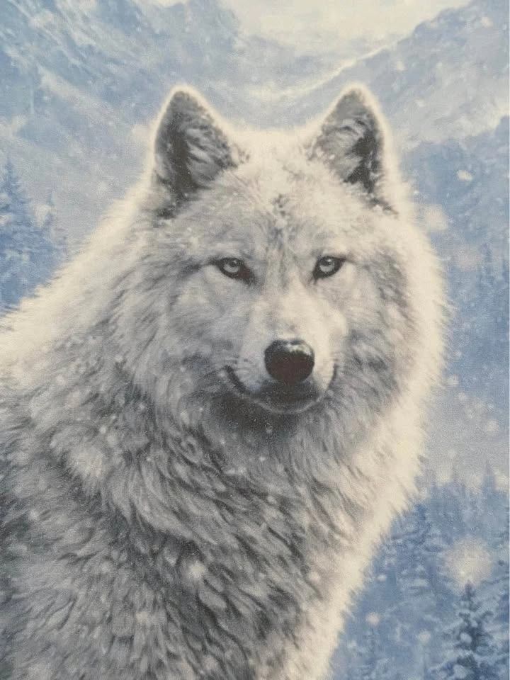 Framed White Wolf Wall Art 15x12 |  Mountain Wildlife Decor - photo 3