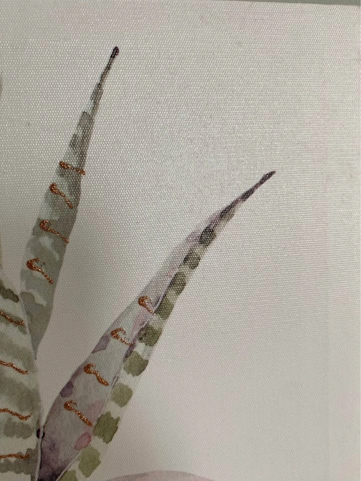 Succulent Canvas Wall Art - photo 4