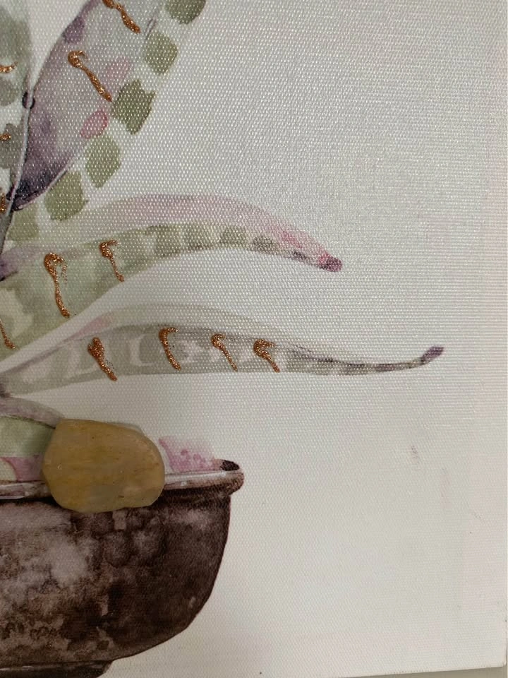 Succulent Canvas Wall Art - photo 5