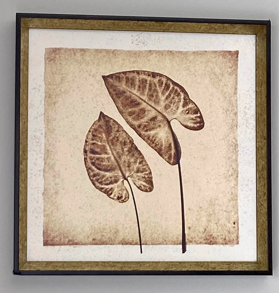 Framed Botanical Leaf Wall Art