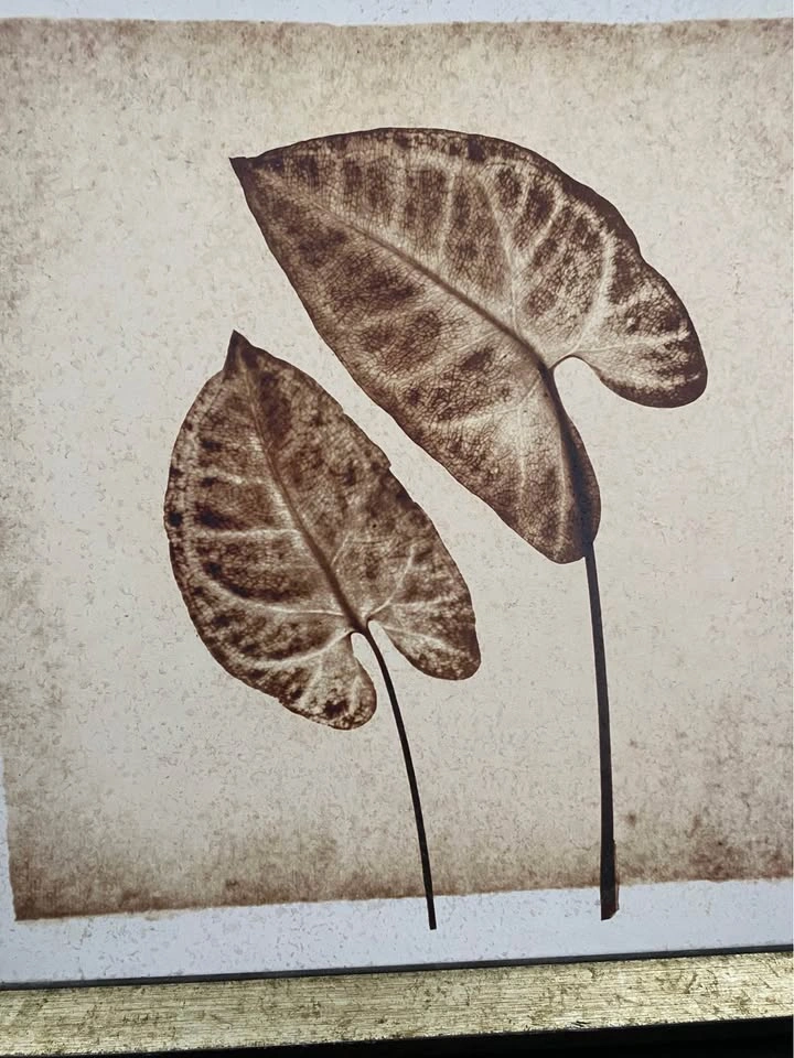Framed Botanical Leaf Wall Art - photo 5