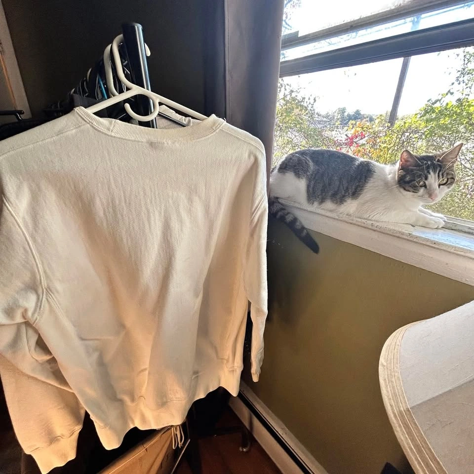 Champion Reverse Weave Medium White Sweatshirt - photo 3