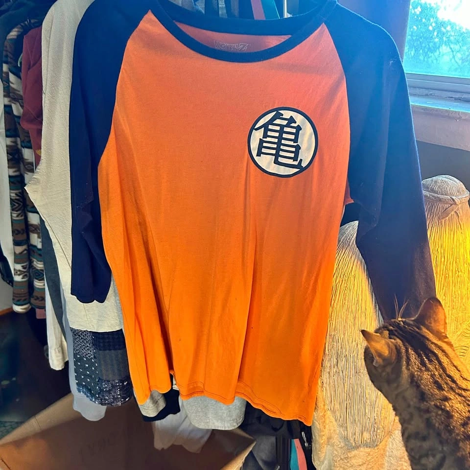 Epic Orange & Black Dragon Ball Z-Inspired Raglan Shirt