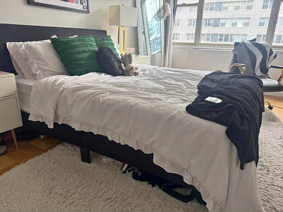 Wayfair Queen Sized Bed Frame (Mattress Included - optional)