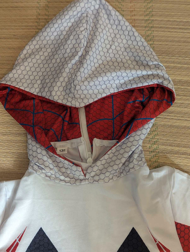 Spiderman Costume - photo 4