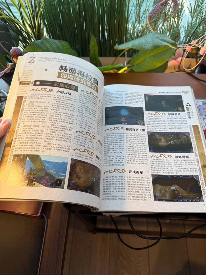 CHS The Legend of Zelda: Breath of the Wild Strategy Guide - photo 2