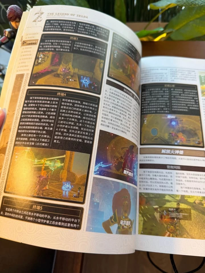 CHS The Legend of Zelda: Breath of the Wild Strategy Guide - photo 3