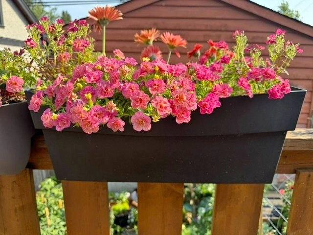 Planters for balcony (with flowers)