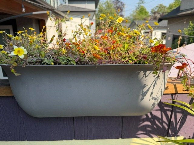 Planters for balcony (with flowers) - photo 4