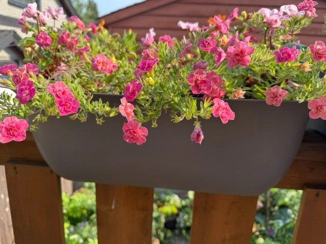 Planters for balcony (with flowers) - photo 5