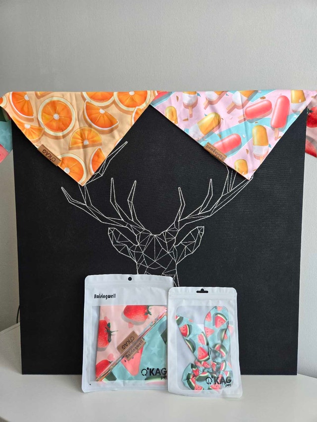 Summer vibe Reversible Pet Bandana – 2 Looks in 1 - photo 2