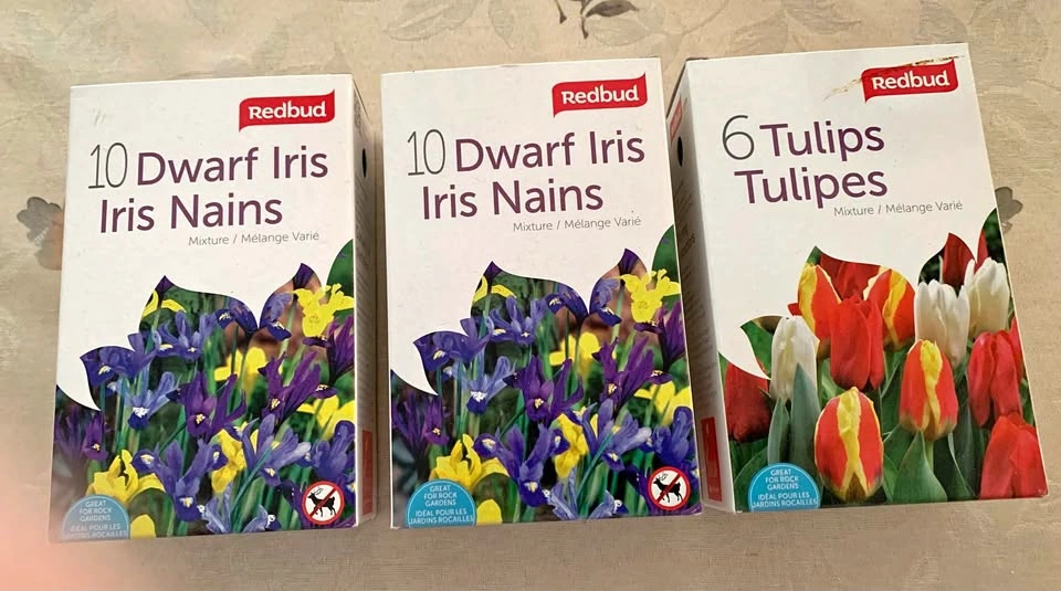 Tulip and Irish Dwarf Seeds