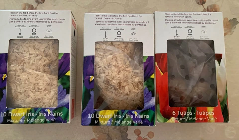 Tulip and Irish Dwarf Seeds - photo 2