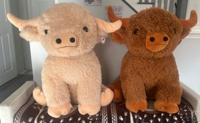 Giant Stuffed Animal