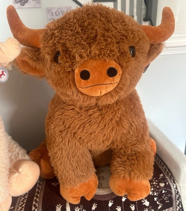 Giant Stuffed Animal - photo 3