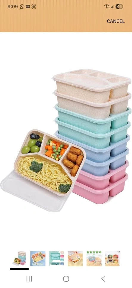 Bento Box Lunch Containers Brand New