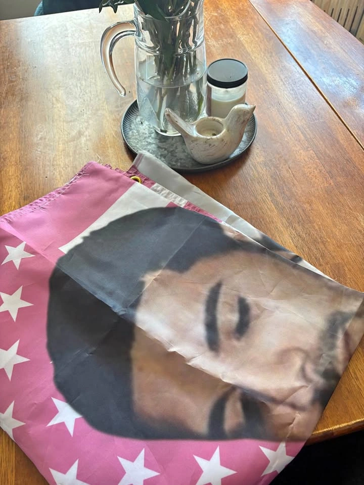 Drake Pink American Flag Tapestry