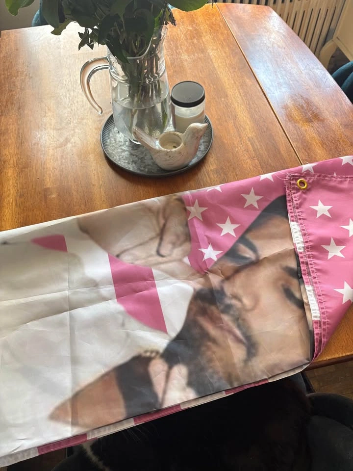 Drake Pink American Flag Tapestry - photo 2