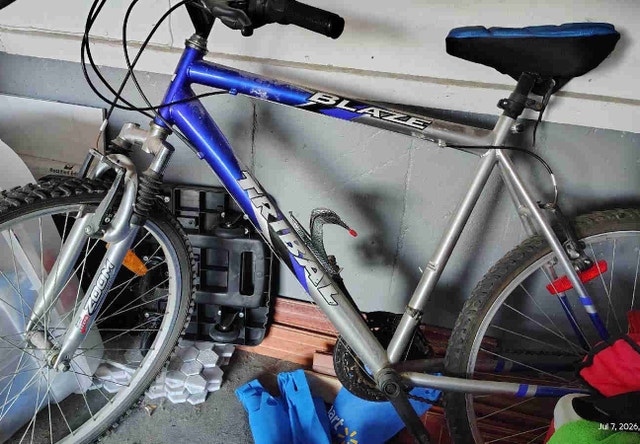 Used Tribal Blaze Mountain Bike
